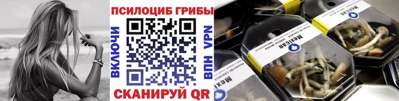 Галлюциногенные грибы мухоморы  Обь 