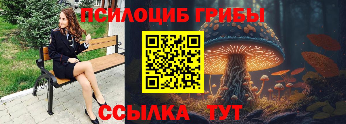 Галлюциногенные грибы Psilocybe  Галлюциногенные грибы ЛСД  Вход с VPN  Обь 