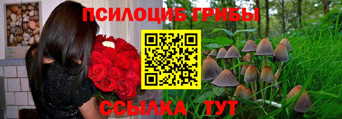 Псилоцибиновые грибы мицелий Обь